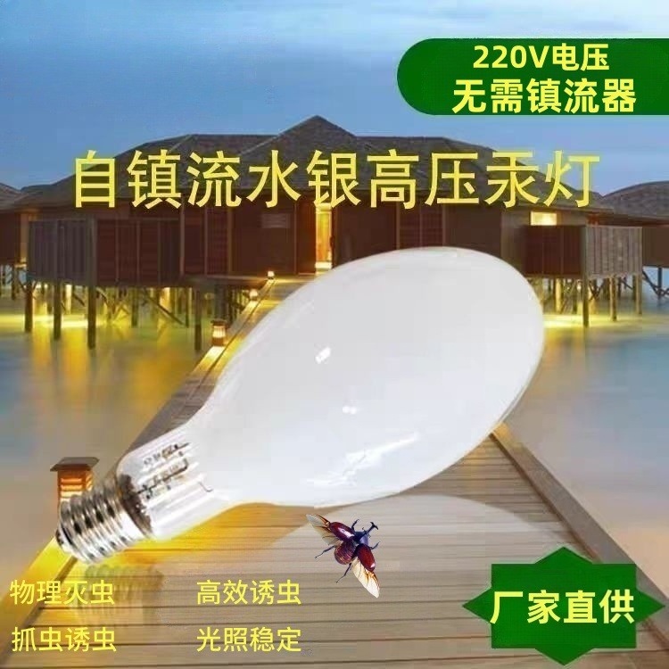 LED Street Light